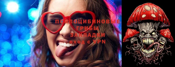 прущие крисы Медвежьегорск