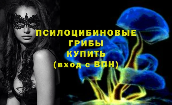 прущие крисы Медвежьегорск