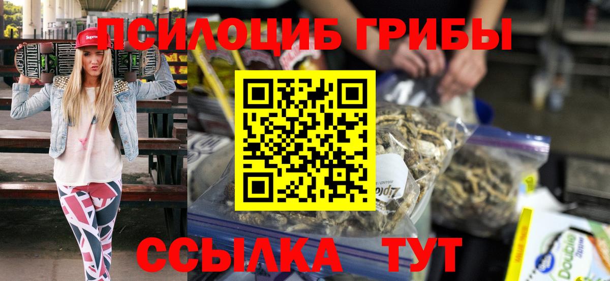 как найти наркотики  Псилоцибиновые грибы ЛСД  Вход с VPN  Когалым 